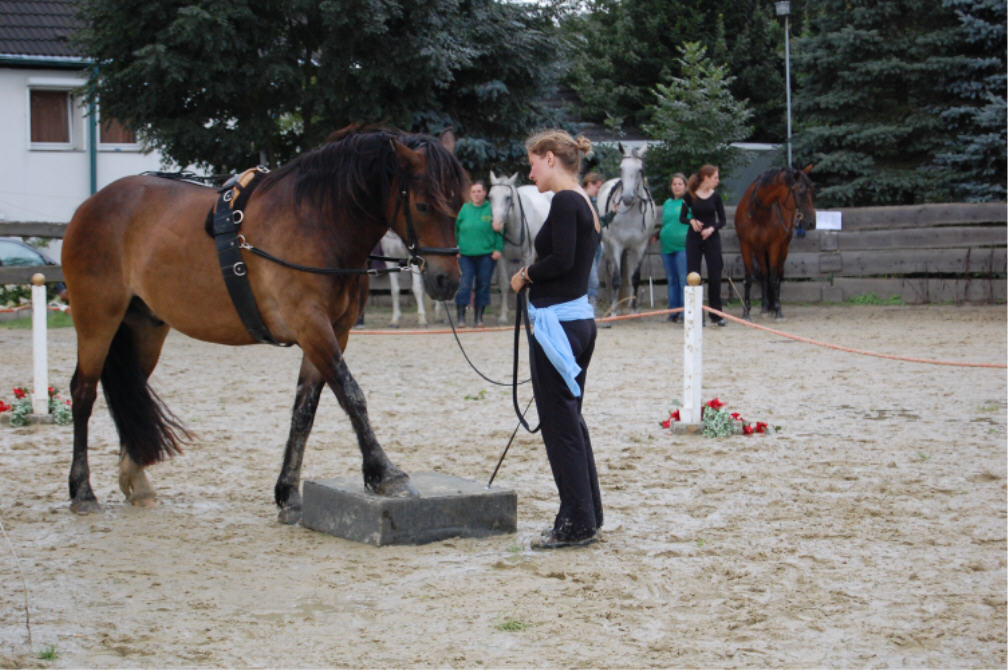 Postament-Nummer